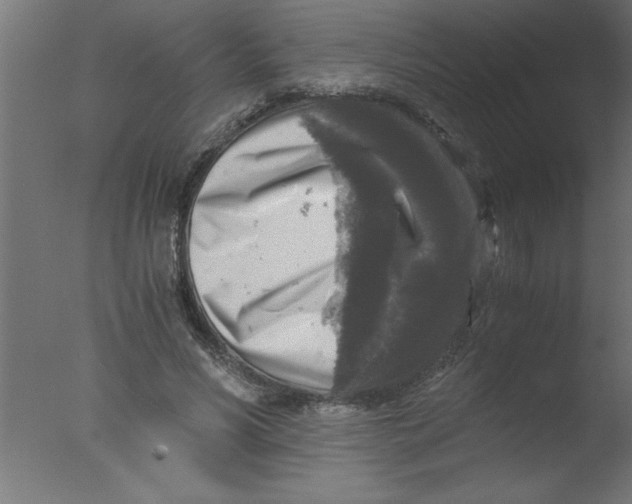 X0000076030590200610201829