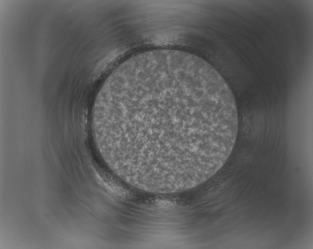 X0000076030592200610201829