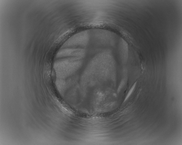 X0000076030593200610201829