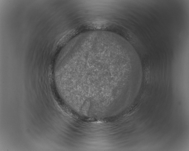 X0000076030594200610201829