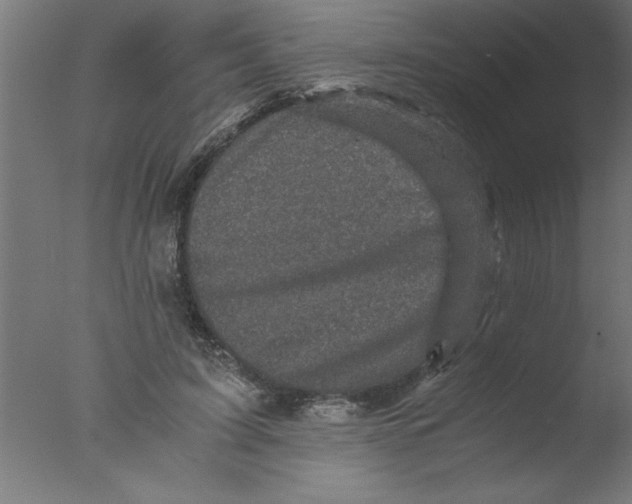 X0000076030595200610201829