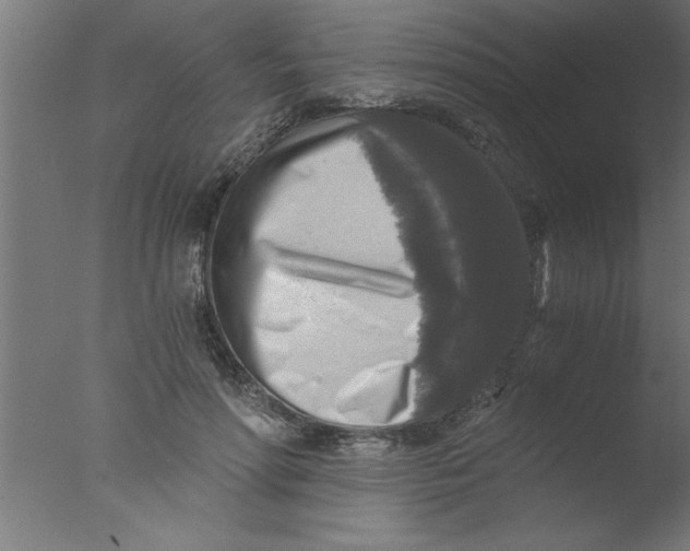 X0000076030598200610201829