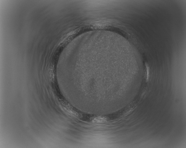 X0000076030599200610201829