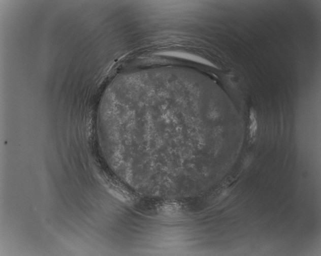 X0000076030600200610201829