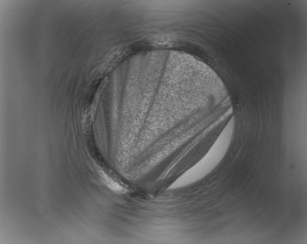 X0000076030601200610201829