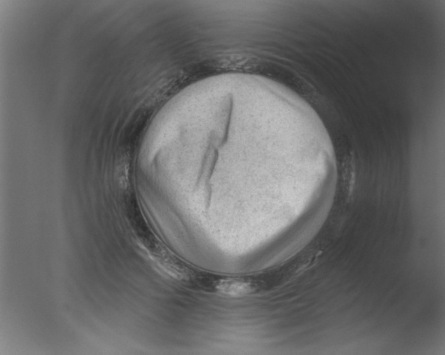 X0000076030602200610201829