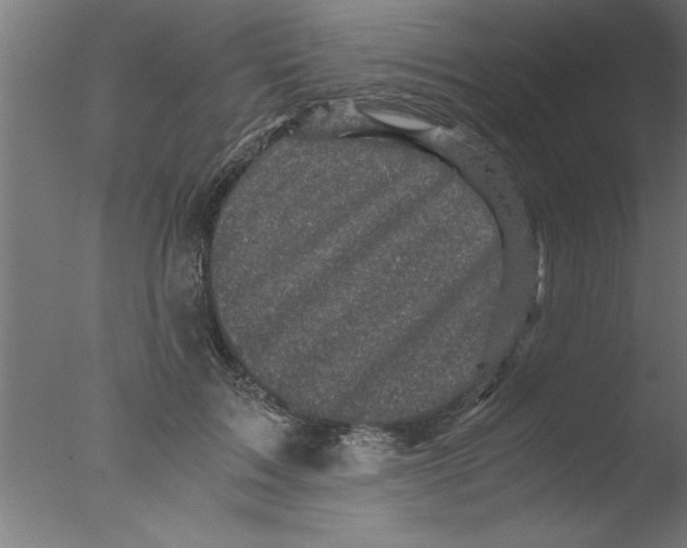 X0000076030603200610201829