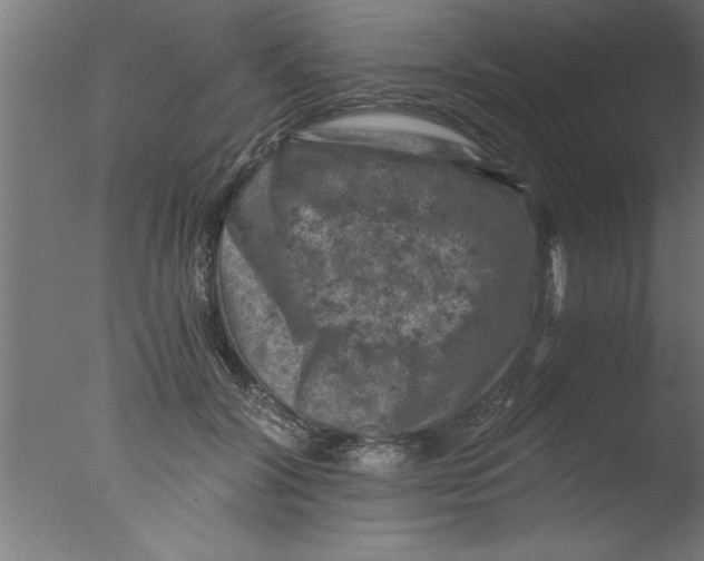 X0000076030604200610201829