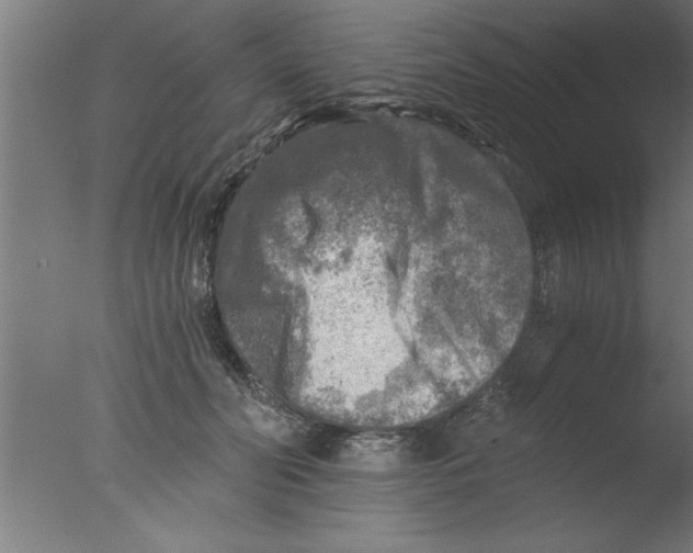 X0000076030606200610201829