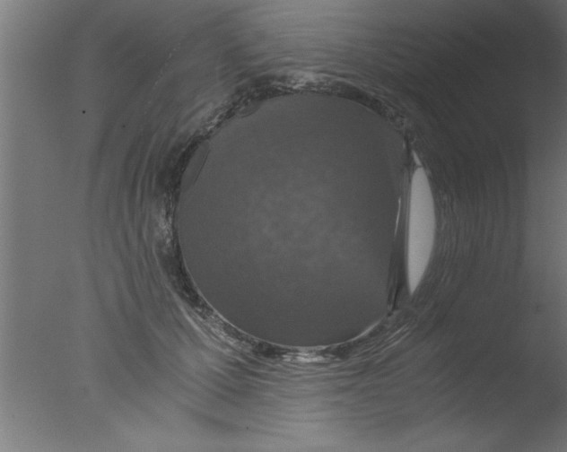 X0000076030607200610201829