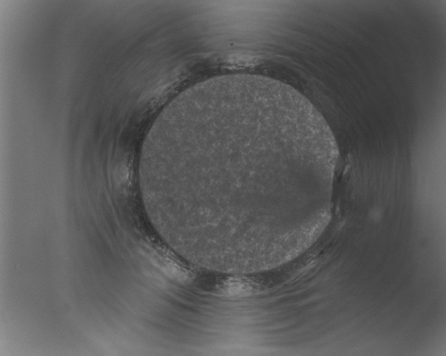 X0000076030608200610201829