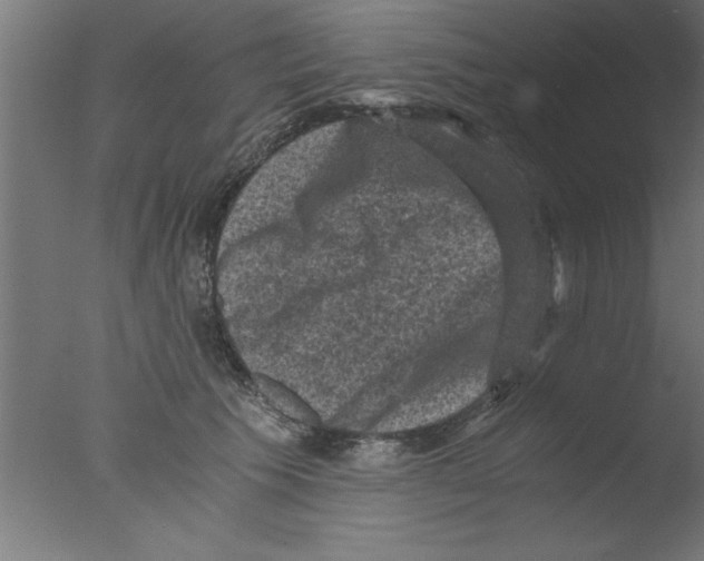 X0000076030609200610201829