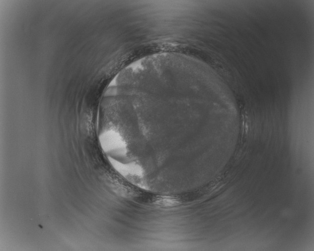 X0000076030610200610201829