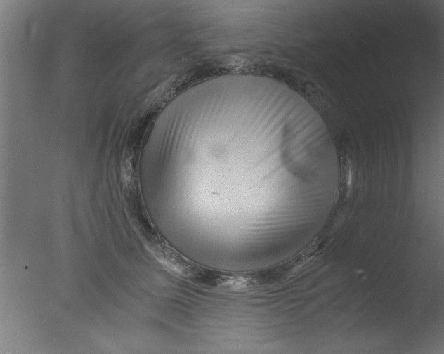 X0000076030611200610201829