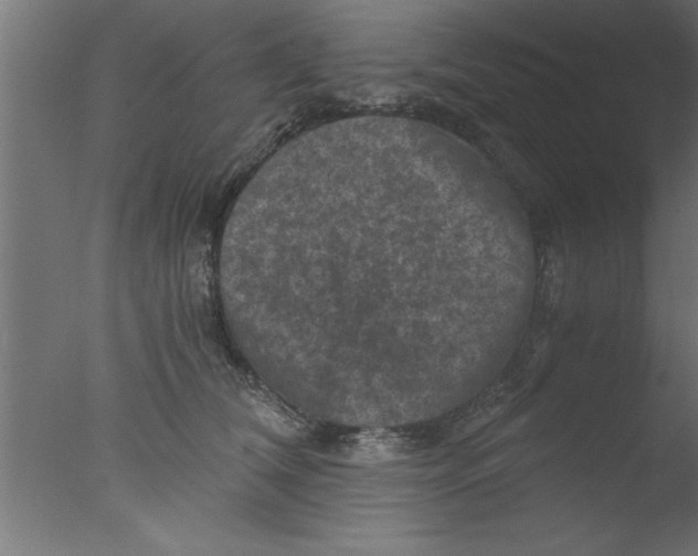 X0000076030612200610201829