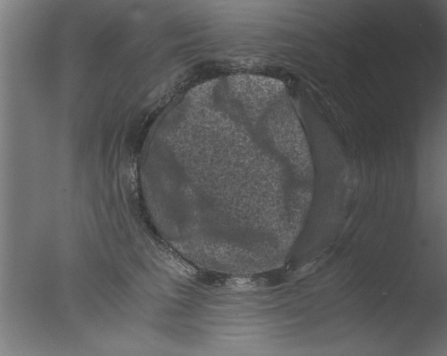 X0000076030613200610201829