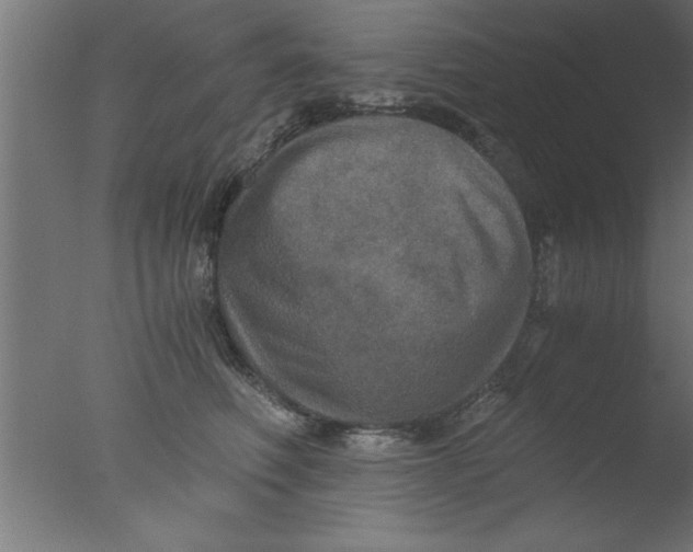 X0000076030614200610201829