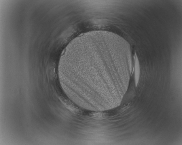 X0000076030615200610201829