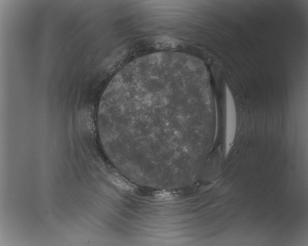 X0000076030616200610201829