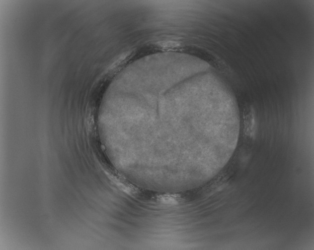 X0000076030618200610201829