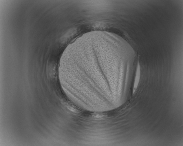 X0000076030619200610201829