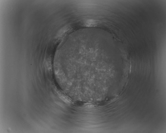 X0000076030620200610201829