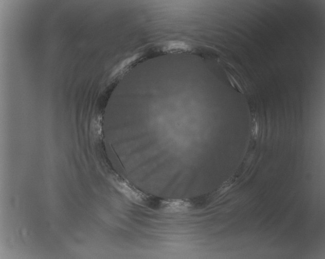 X0000076030621200610201829