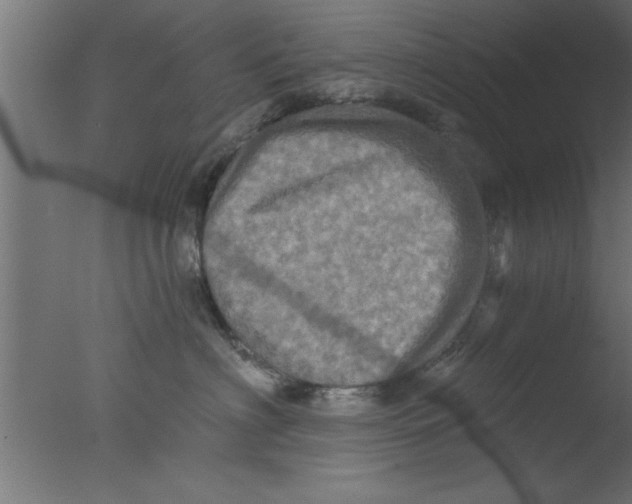 X0000076030622200610201829