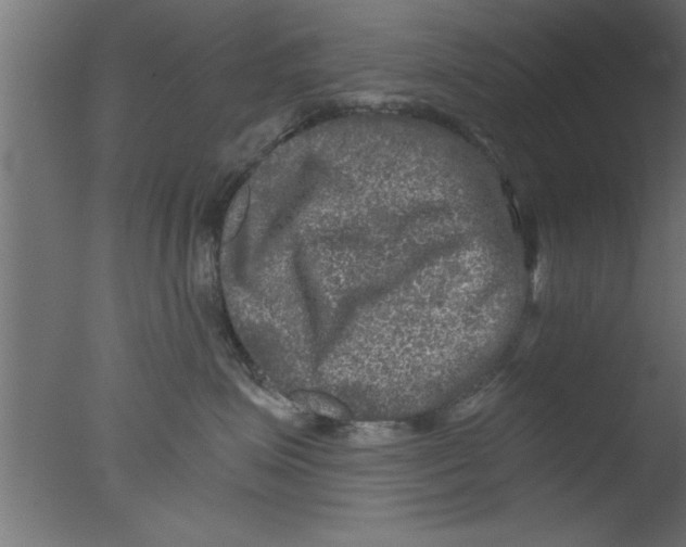 X0000076030623200610201829