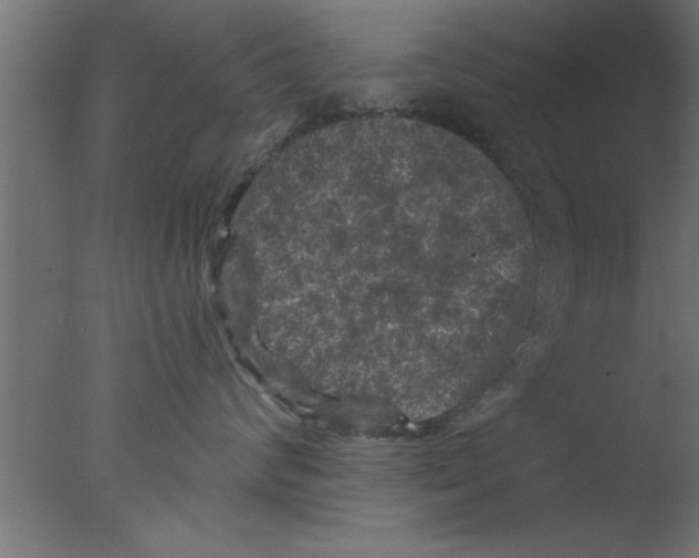 X0000076030624200610201829