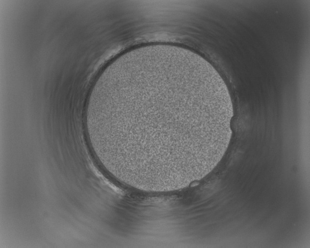 X0000076030625200610201828