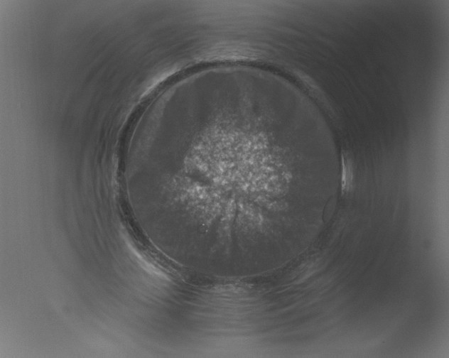 X0000076030627200610201828