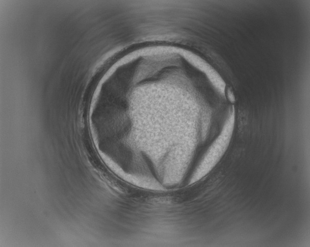 X0000076030628200610201828