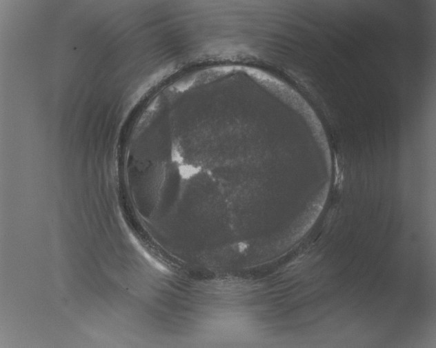 X0000076030630200610201828