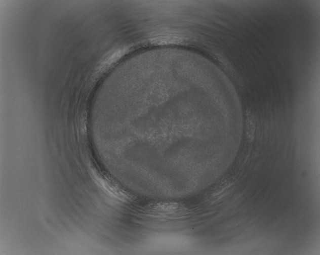 X0000076030631200610201828