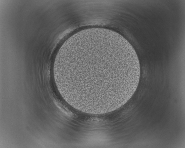 X0000076030632200610201828