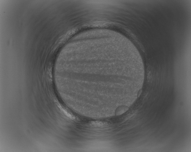 X0000076030633200610201828