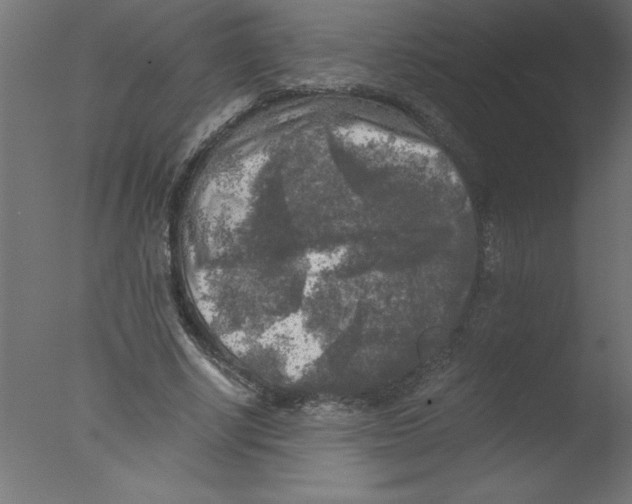 X0000076030634200610201828