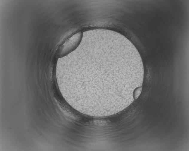 X0000076030636200610201828