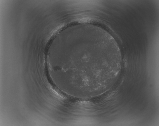 X0000076030637200610201828