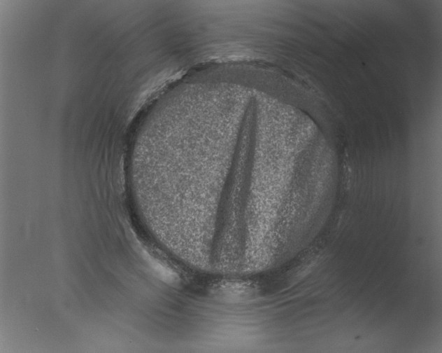 X0000076030638200610201828