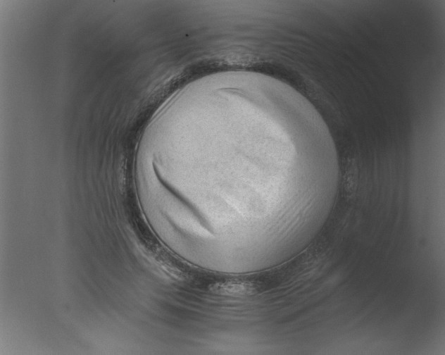 X0000076030639200610201828