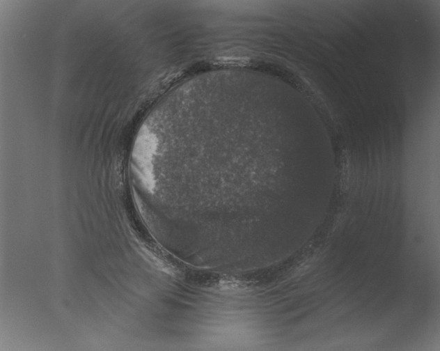 X0000076030641200610201828