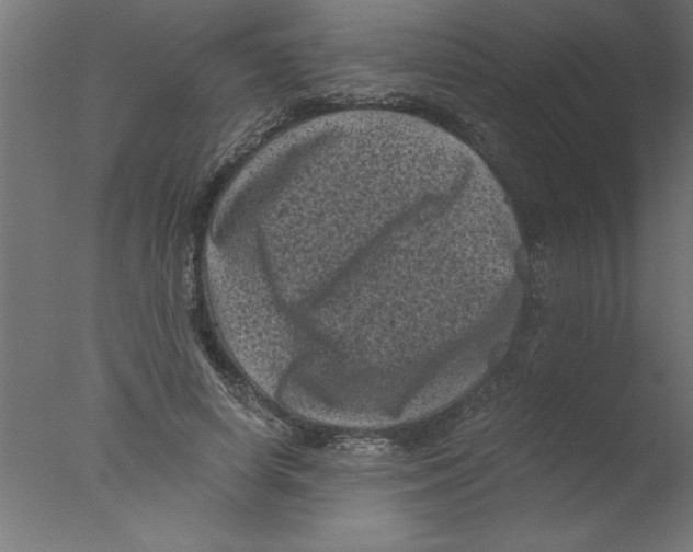 X0000076030642200610201828