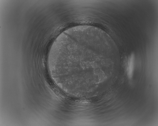 X0000076030643200610201828