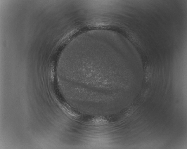 X0000076030644200610201828