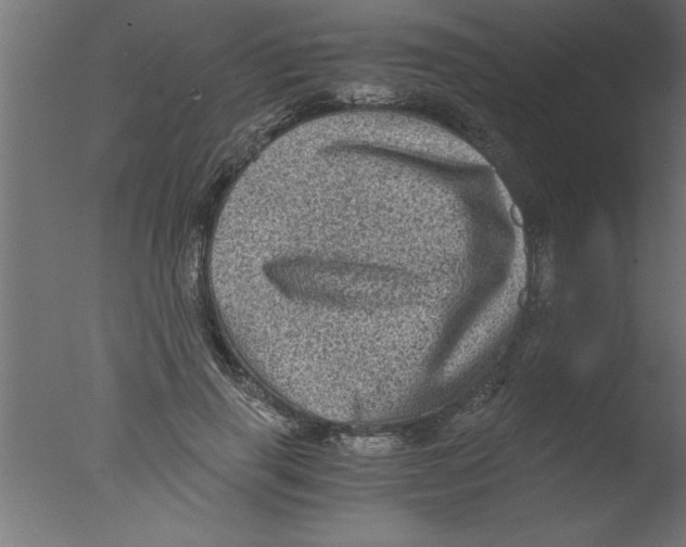 X0000076030645200610201828