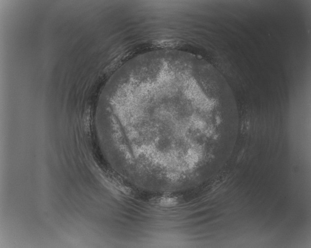 X0000076030647200610201828