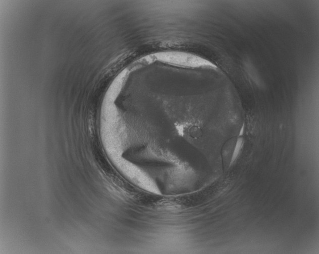 X0000076030648200610201828