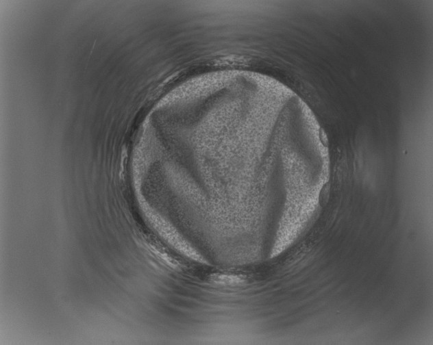 X0000076030649200610201828